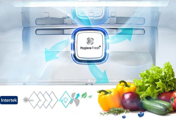 3 Công nghệ khử mùi tủ lạnh nổi bật và ưu điểm